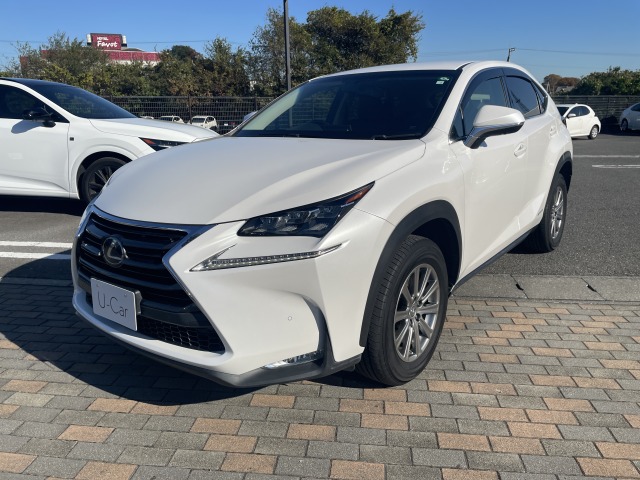NX300h I－PKG