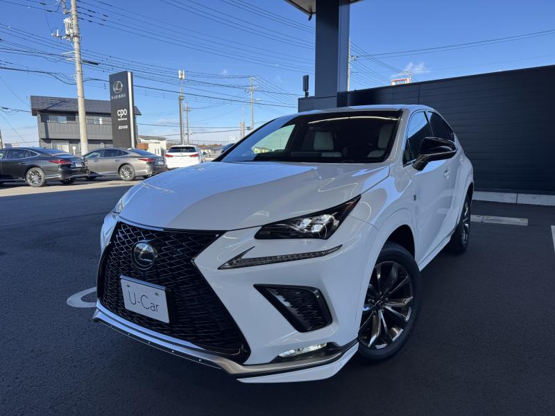 NX300 F SPORT
