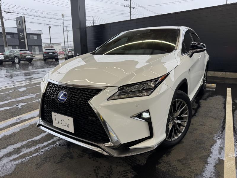 RX450h F SPORT