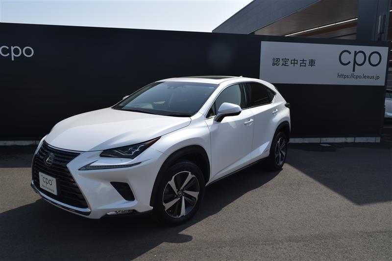 NX300h バージョンL