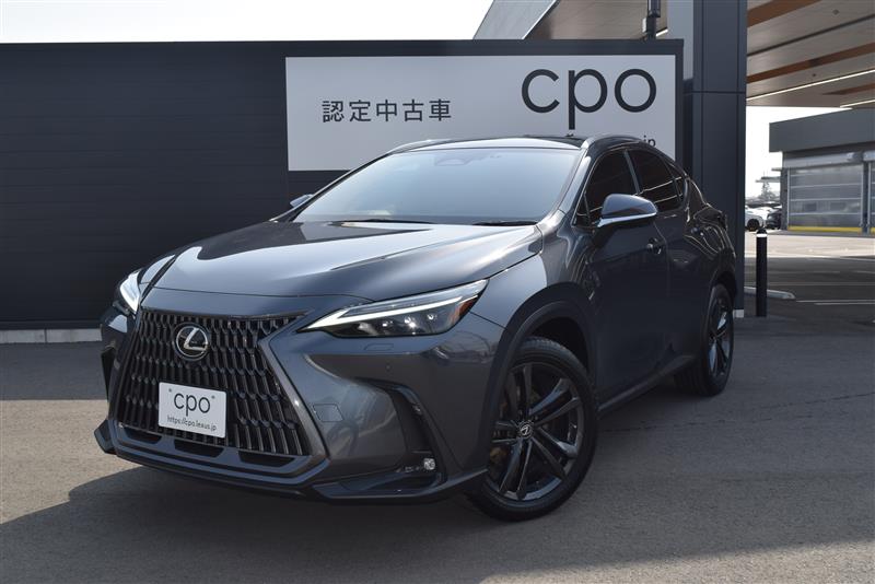 NX350h バージョンL