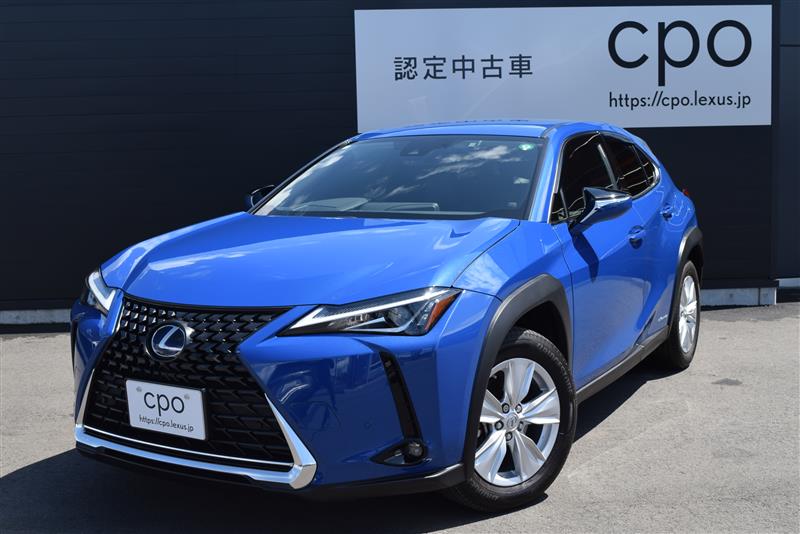 UX250h バージョンC
