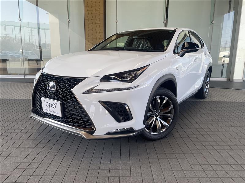 NX300h Fスポーツ