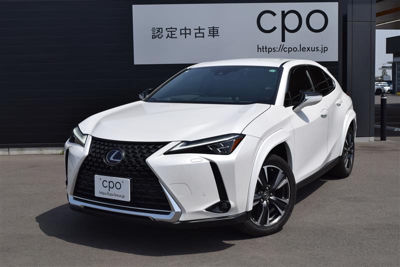 UX250h バージョンL
