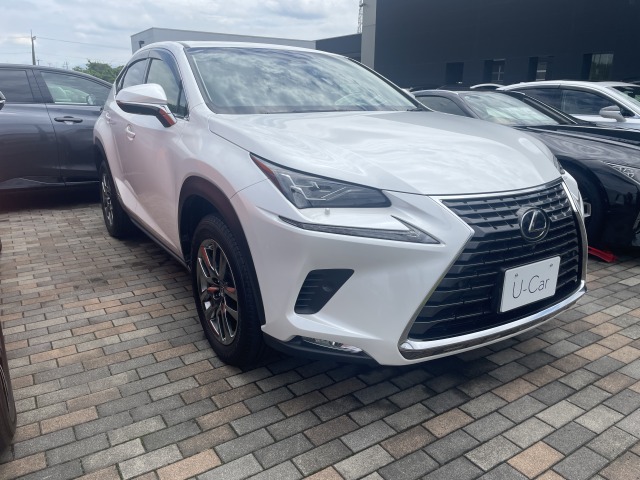 NX300h Ver.L