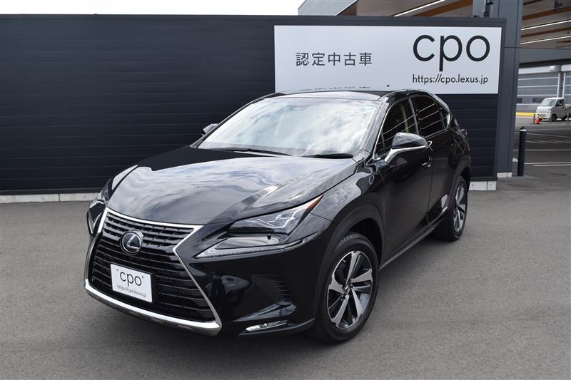 NX300h バージョンL