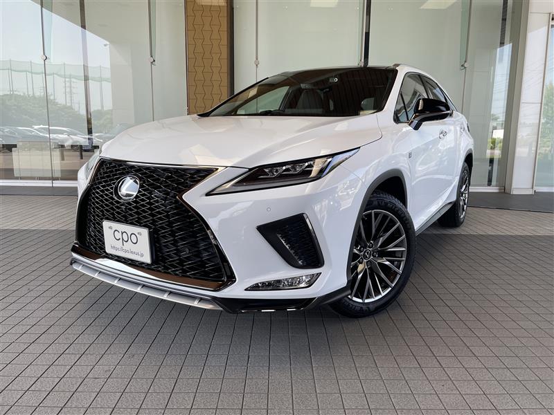 RX300 FSPORT