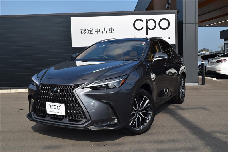 NX250 バージョンL