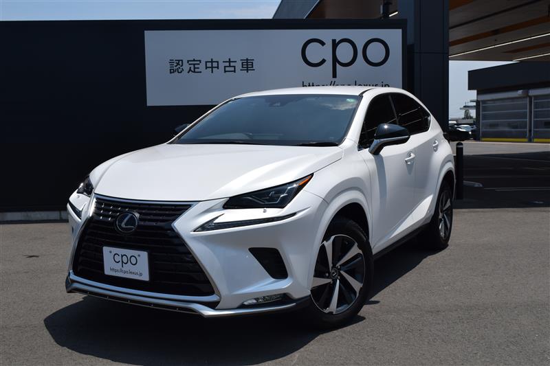NX300h spice&chic