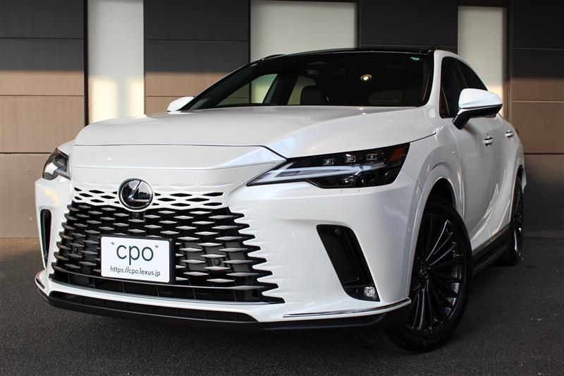 RX350h VER-L